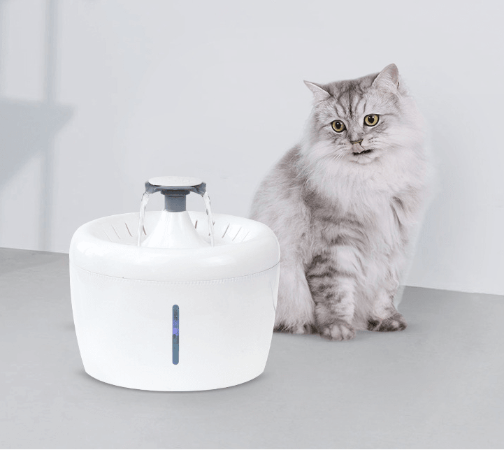El oasis refrescante para mascota