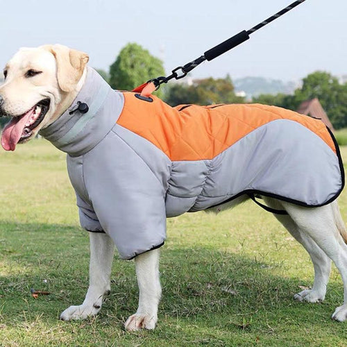 Abrigo de invierno impermeable para perros, ropa para mascotas para perros, chaleco grueso y cálido para perros…