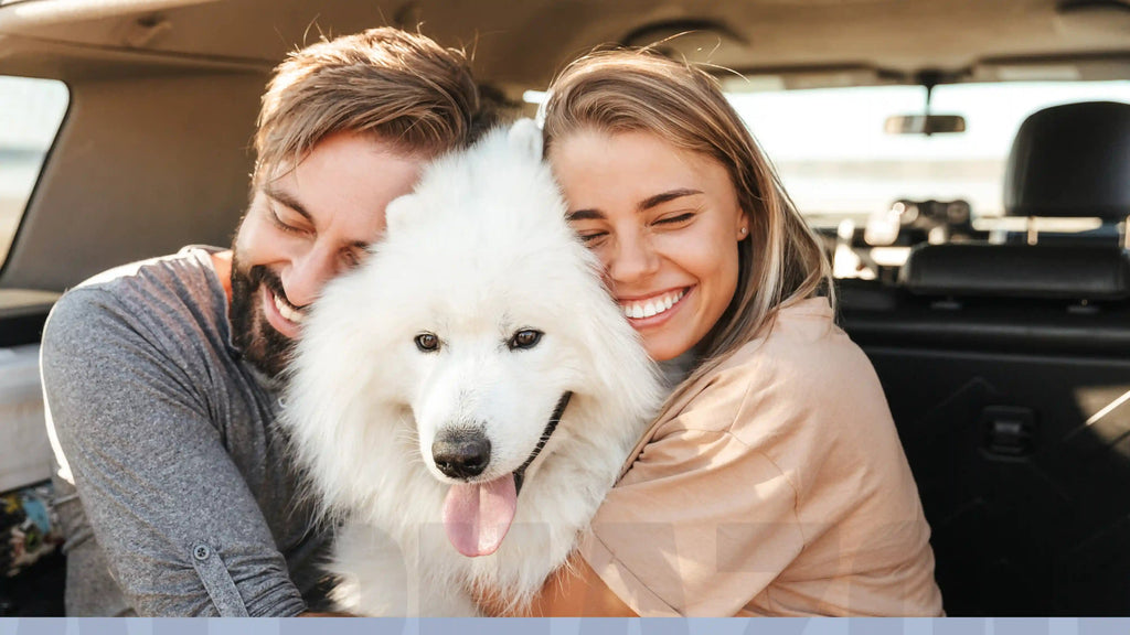 Cuidado de patas para perro