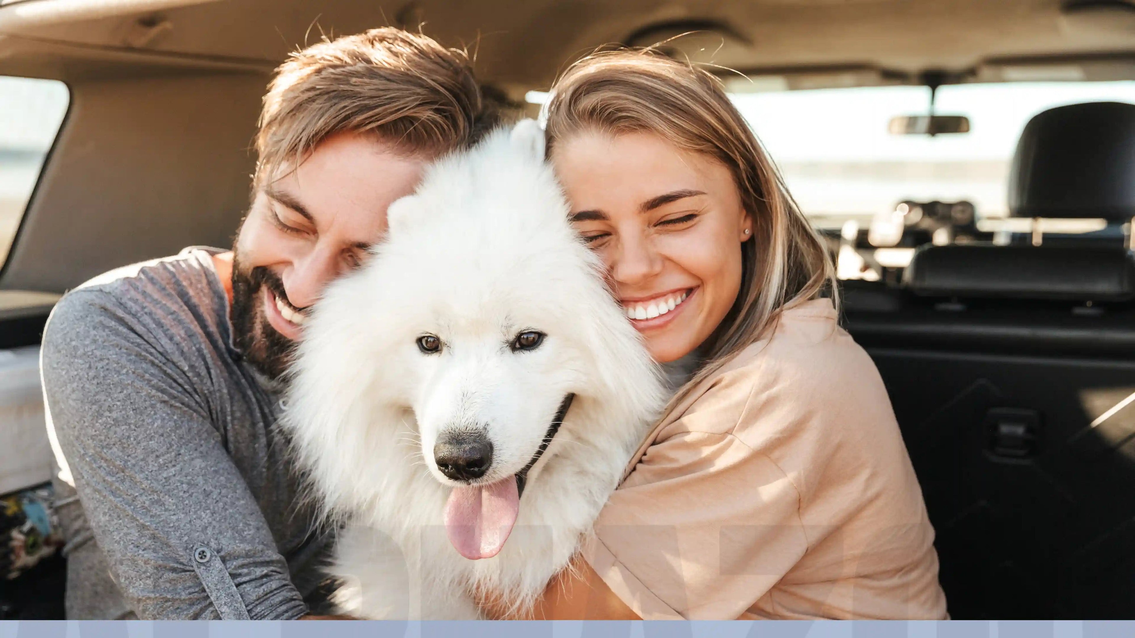 Cuidado de patas para perro