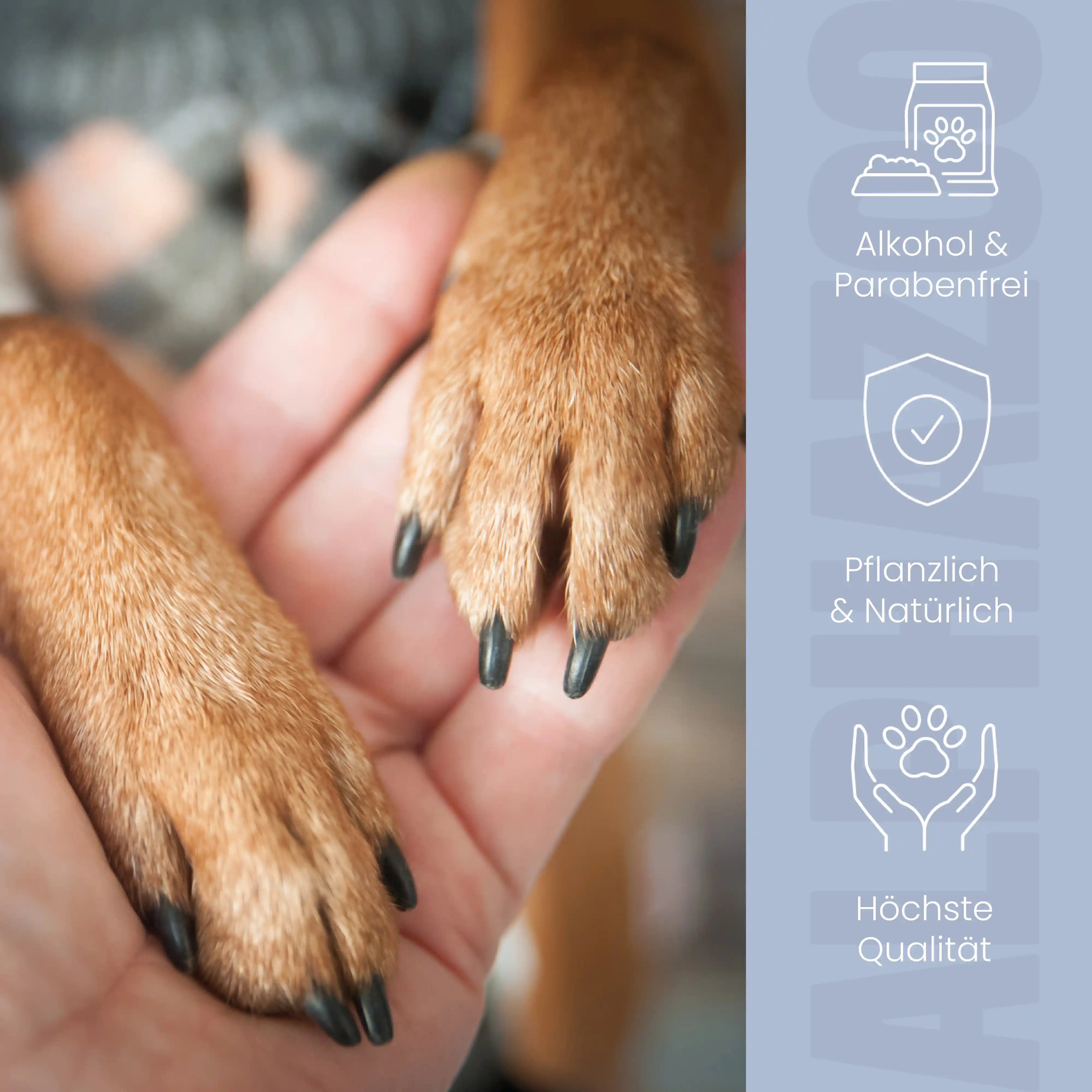 Cuidado de patas para perro